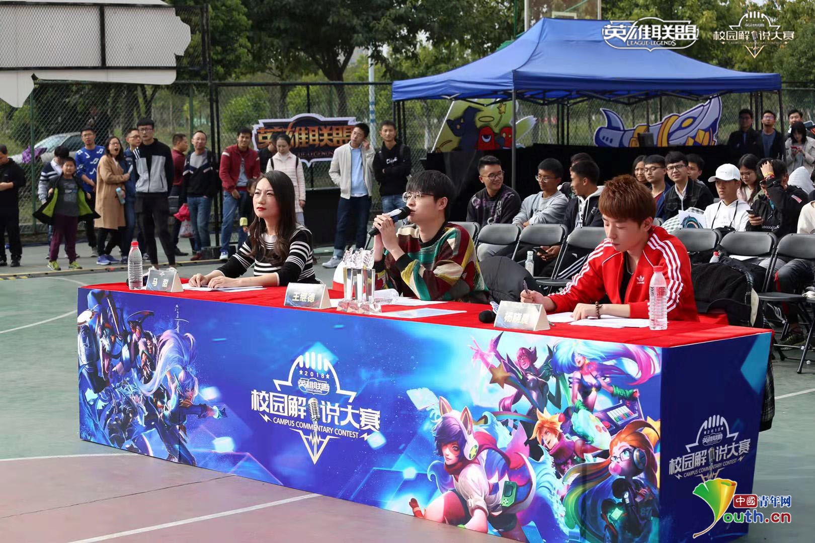 转会专家罗 转会专家罗