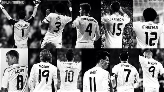 预埋土壤 预埋土壤